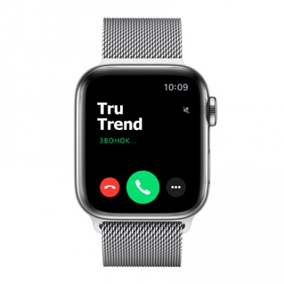 Apple Watch Series 5 GPS + Cellular, 40mm, корпус из стали, серебристый миланский сетчатый браслет Apple Watch Series 5 GPS + Cellular, 40mm, корпус из стали, серебристый миланский сетчатый браслет