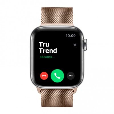 Apple Watch Series 5 GPS + Cellular, 40mm, корпус из стали, золотой миланский сетчатый браслет Apple Watch Series 5 GPS + Cellular, 40mm, корпус из стали, золотой миланский сетчатый браслет