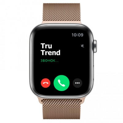 Apple Watch Series 5 GPS + Cellular, 44mm, корпус из стали, золотой миланский сетчатый браслет Apple Watch Series 5 GPS + Cellular, 44mm, корпус из стали, золотой миланский сетчатый браслет