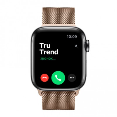 Apple Watch Series 5 GPS + Cellular, 40mm, корпус из стали цвета «черный космос», золотой миланский сетчатый браслет Apple Watch Series 5 GPS + Cellular, 40mm, корпус из стали цвета «черный космос», золотой миланский сетчатый браслет